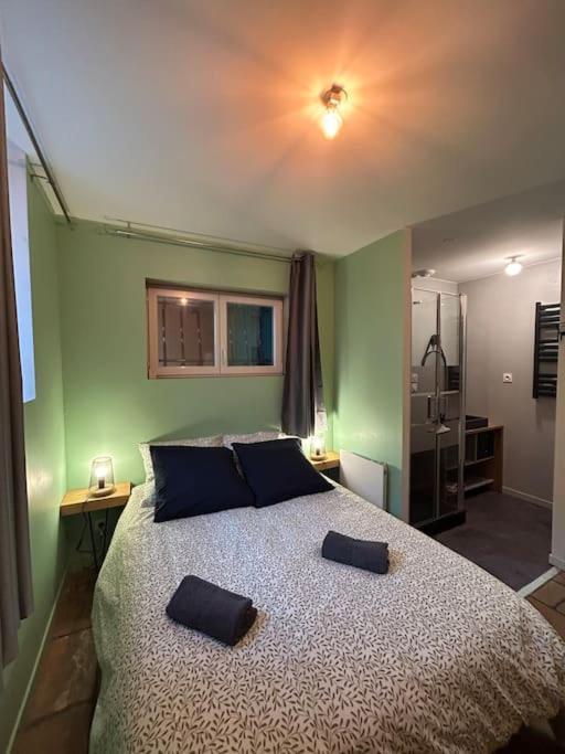 Le Cosy Balat Biel Rdc Jardin Spacieux Grisolles  Екстер'єр фото