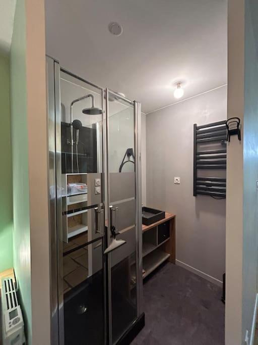 Le Cosy Balat Biel Rdc Jardin Spacieux Grisolles  Екстер'єр фото